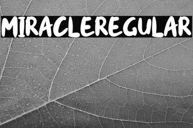 miracle-Regular Font examples