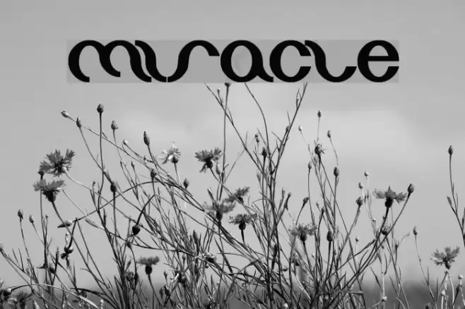 miracle Font examples