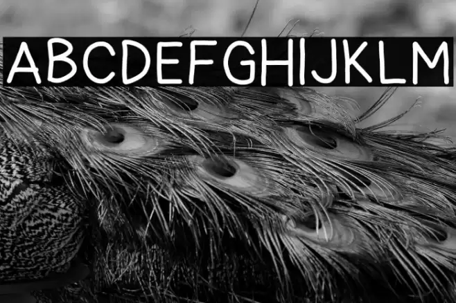 miriam Font examples