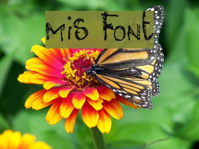 mis Font examples