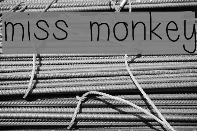 miss monkey Example 1