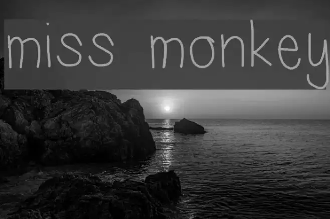 miss monkey Example 2