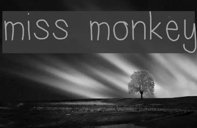 miss monkey Example 3