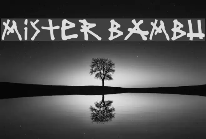 mister bambu Example 2