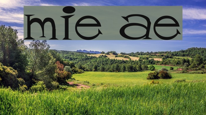 mister tate Font examples