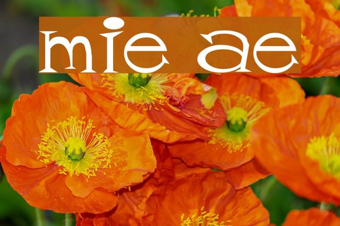 mister tate Font examples