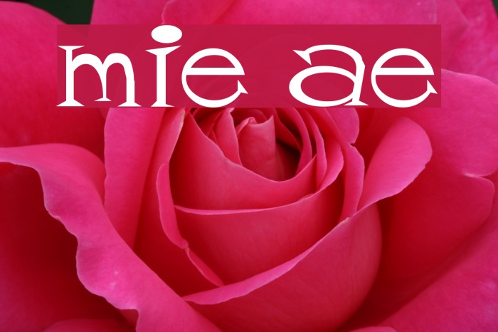 mister tate Font examples