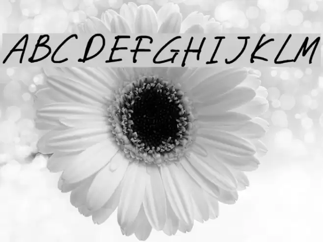 miwaza smart girl Font examples