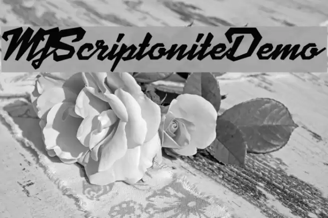 MJScriptoniteDemo Font examples