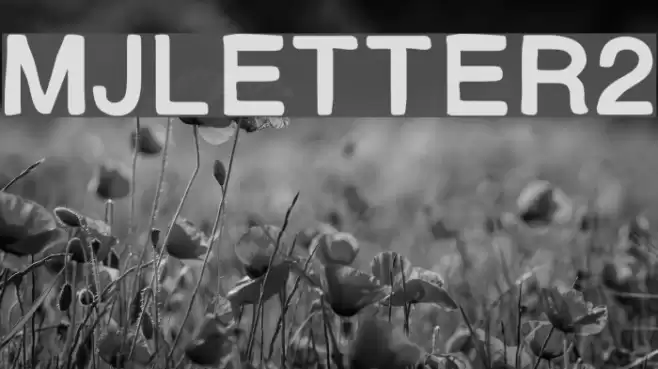 MJletter2 Font examples