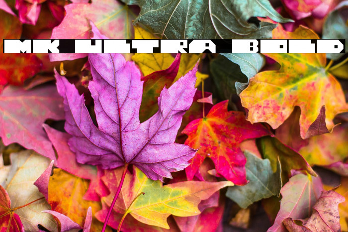 MK ULTRA Bold Example 1