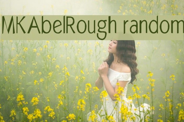 MKAbelRough random Font examples