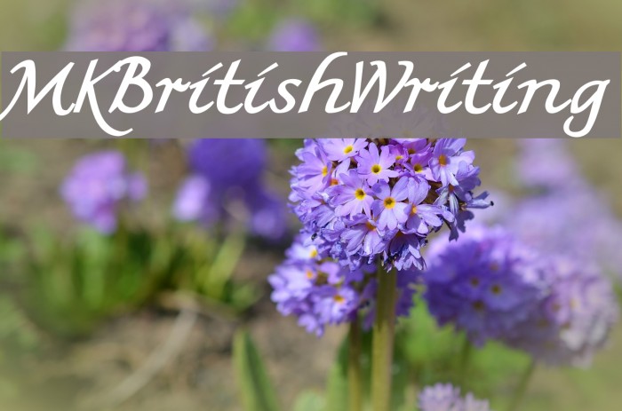 MKBritishWriting Font examples