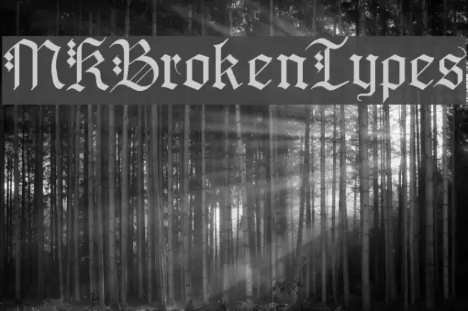 MKBrokenTypes Шрифта examples