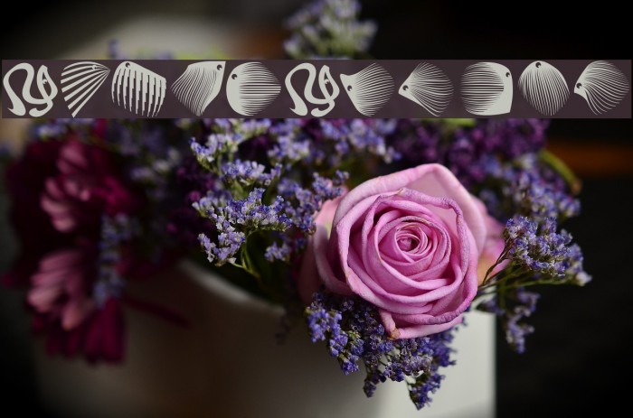 MKEyeMinals Example 3