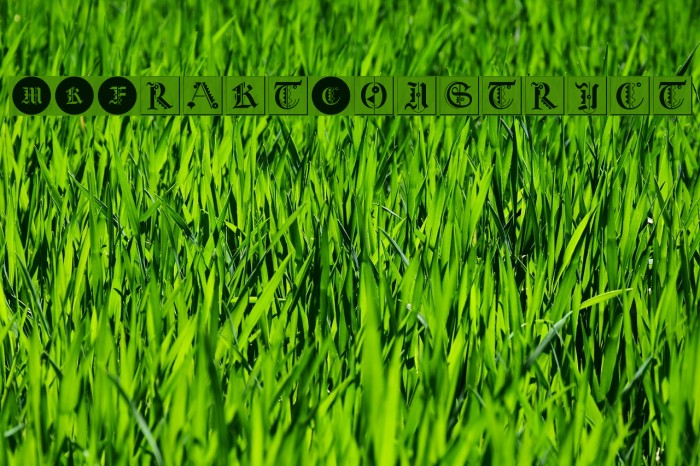 MKFraktConstruct Font examples