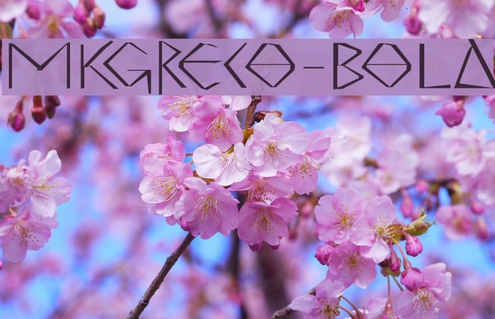 MKGreco-Bold Example 1