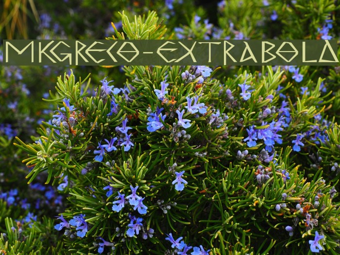 MKGreco-ExtraBold Font examples