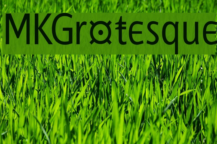 MKGrotesque Font examples