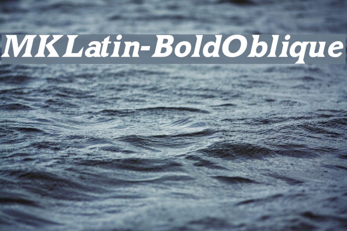 MKLatin-BoldOblique Font examples