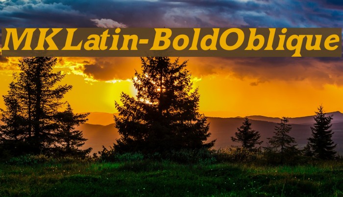 MKLatin-BoldOblique Font examples