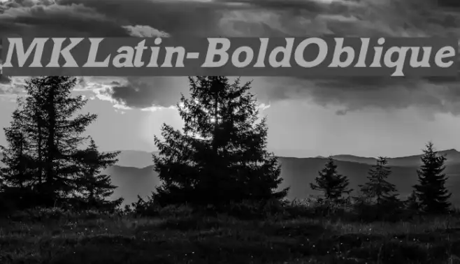 MKLatin-BoldOblique Example 2