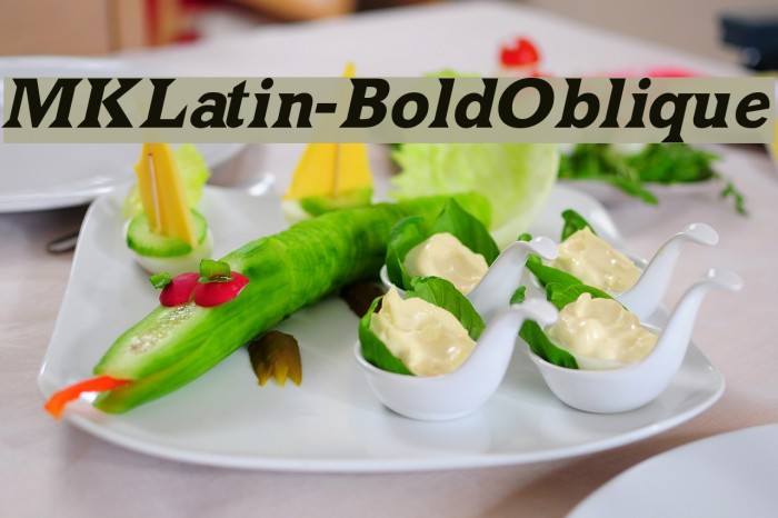 MKLatin-BoldOblique Font examples