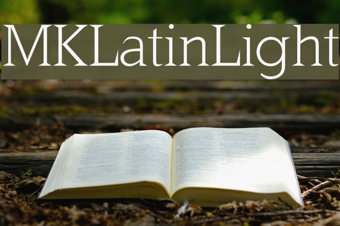 MKLatinLight Font examples