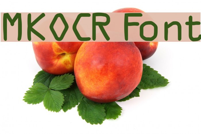 MKOCR Font examples