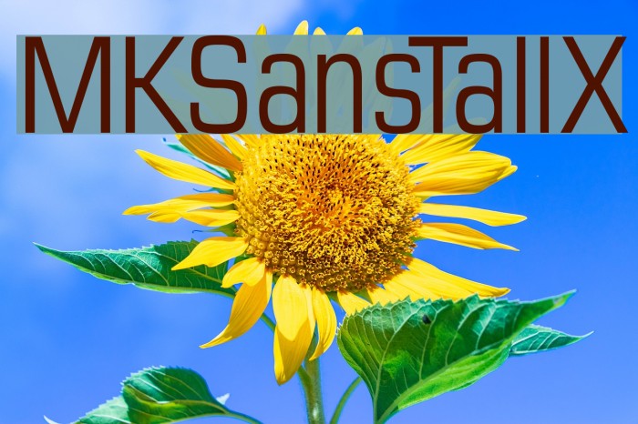 MKSansTallX Font examples