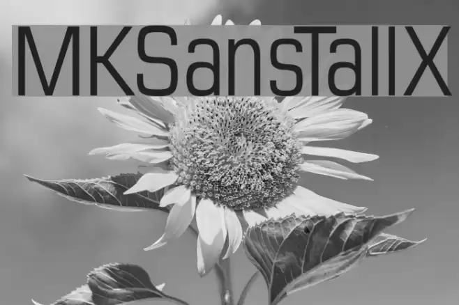 MKSansTallX Шрифта examples