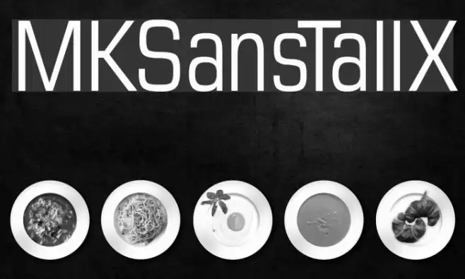 MKSansTallX Шрифта examples