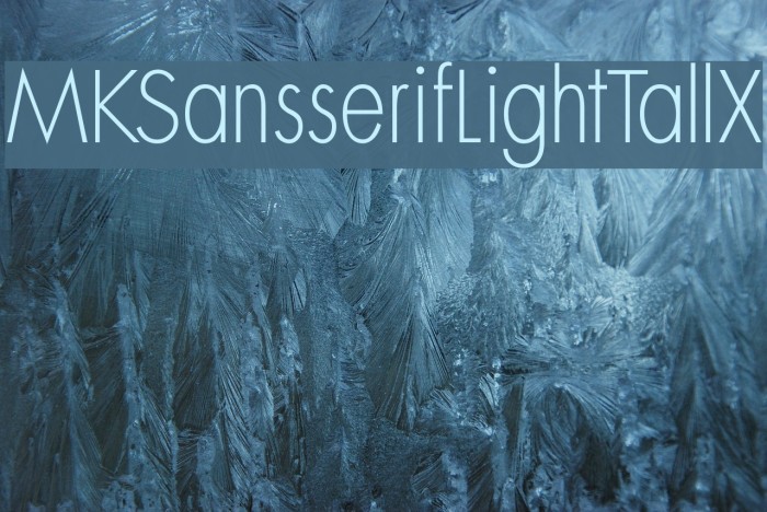 MKSansserifLightTallX Font examples