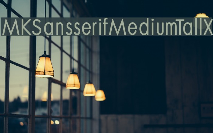 MKSansserifMediumTallX Font examples