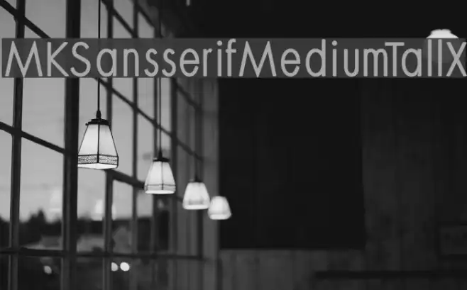 MKSansserifMediumTallX Example 1