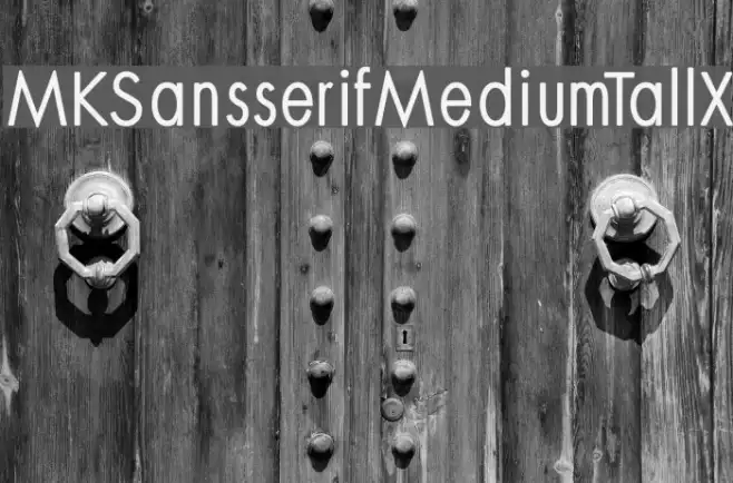 MKSansserifMediumTallX Example 2