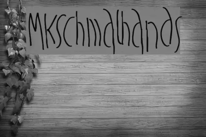 MKSchmalhands Example 2