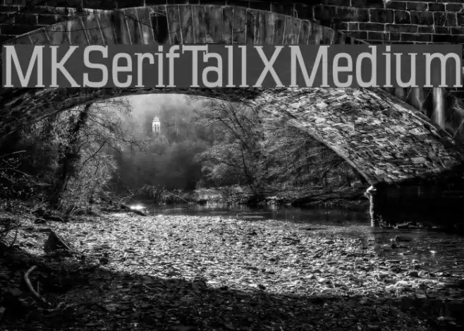 MKSerifTallXMedium Font examples