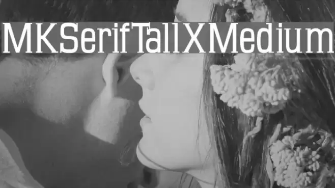 MKSerifTallXMedium Font examples