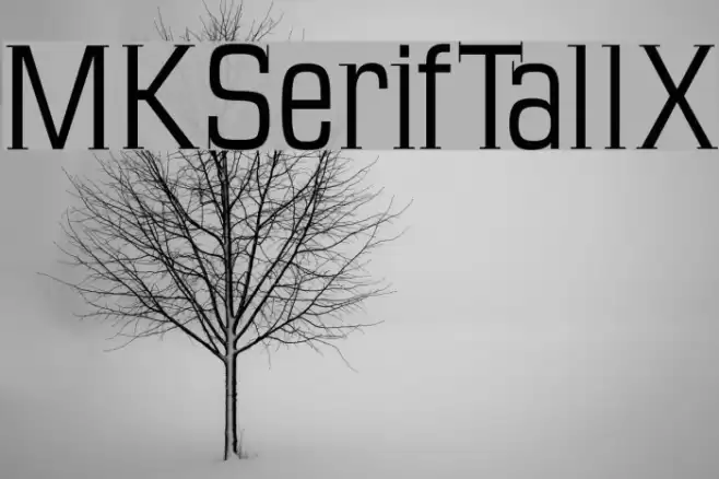 MKSerifTallX Font examples