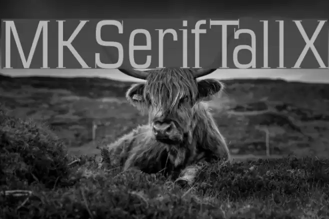 MKSerifTallX Font examples