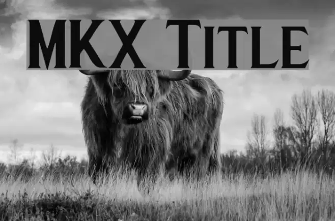 MKX Title Font examples
