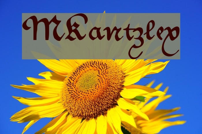 MKantzley Font examples