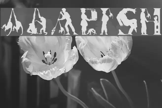 MKapish Font examples