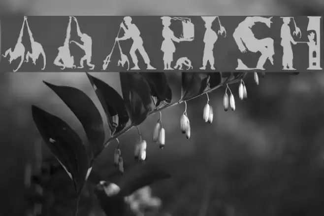 MKapish Font examples