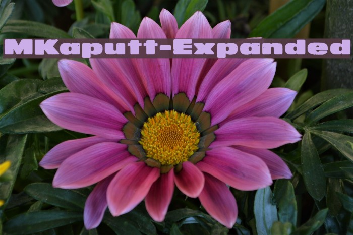 MKaputt-Expanded Font examples