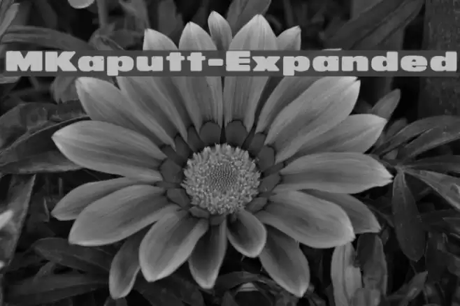 MKaputt-Expanded Schriftart examples