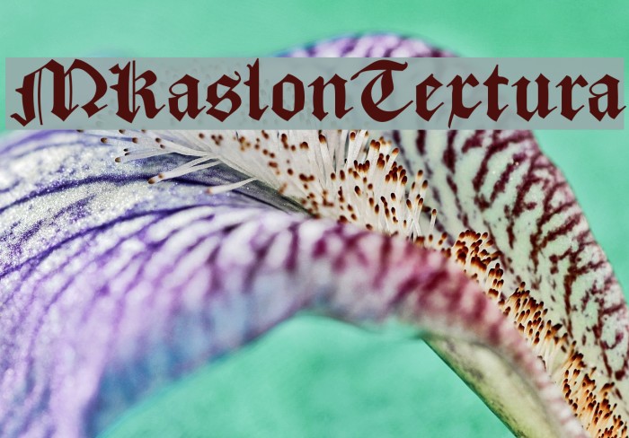MKaslonTextura Font examples
