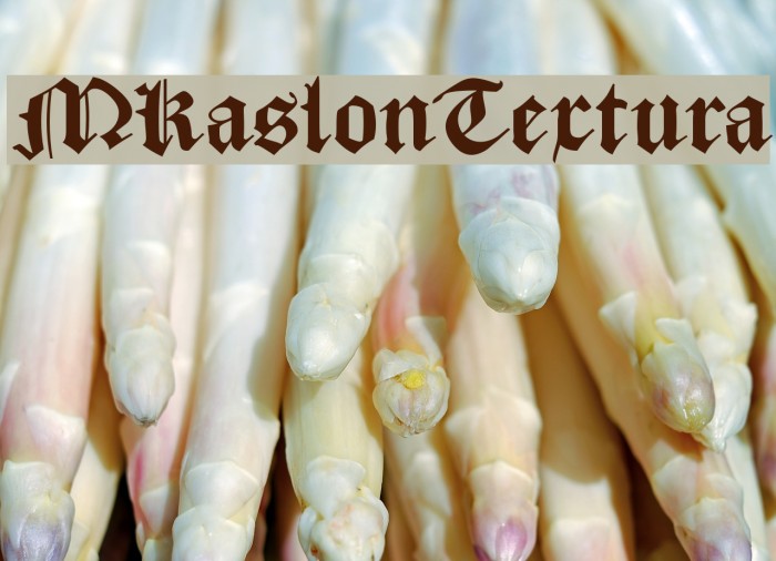 MKaslonTextura Font examples