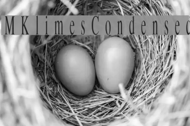 MKlimesCondensed Font examples